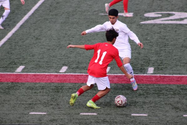 Kicking With Passion